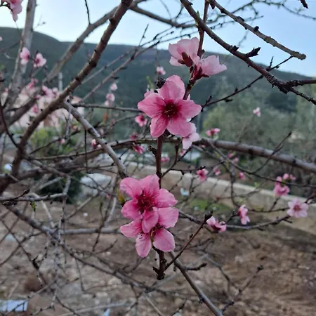 Hera Dom wakacyjny Himara